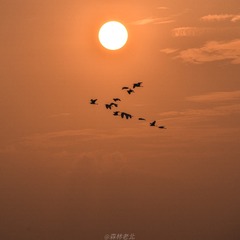 96860