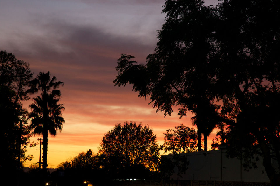 美国之行洛杉矶休斯顿圣安东尼奥