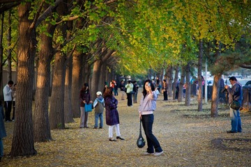 自拍的女孩，北京，2009