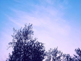 2605769