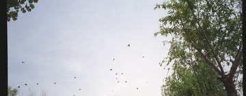 1018049