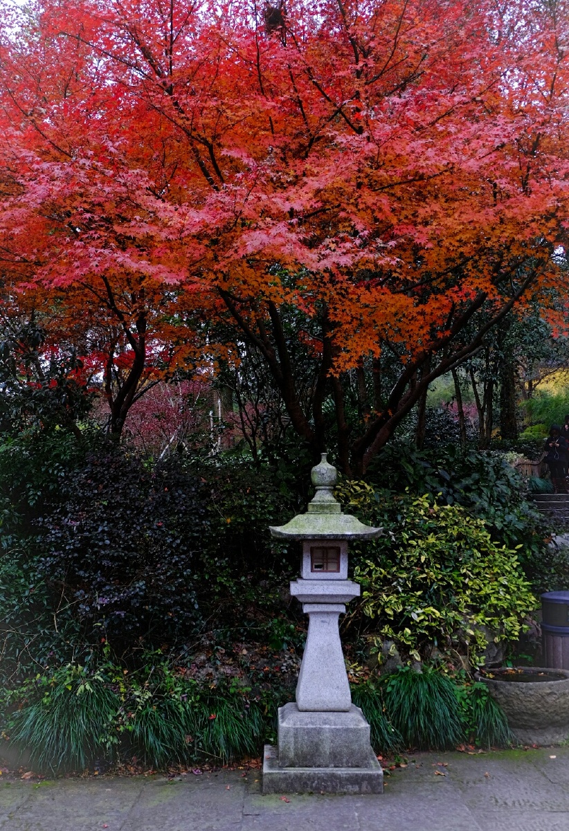 灵隐寺 - pieroding - 图虫网 - 优质摄影师交流社区