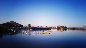 WP_20161001_17_36_53_Pro (2)