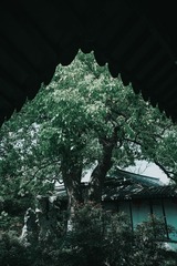 90F25736-C988-43C8-809F-8CE1738A2306/L0/001
