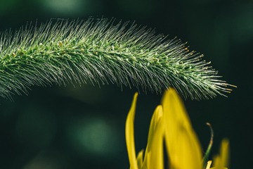 949D5657-F91E-4E36-8860-811C1B087928/L0/001