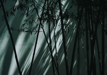 F5BCBAFE-5244-405A-B88E-2B8F2AD58D91/L0/001