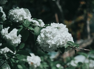 885CA274-1C0B-4793-8D20-215B8AAA7A4D/L0/001