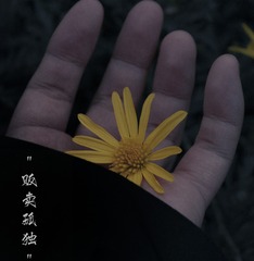 1051726