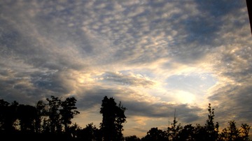 0FE488D7-E427-4F6D-833F-F4BAC1FBC0C5/L0/001