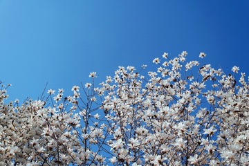 FEAE6A8A-B953-446D-8D8B-0800EA47430A/L0/001