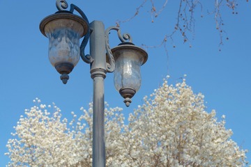 1C17DDA1-A899-48B4-8441-D1C65953EAD9/L0/001