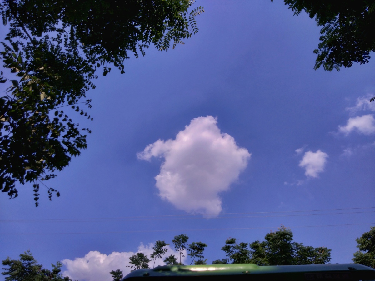 粉色的夏天吹着细和的暖风