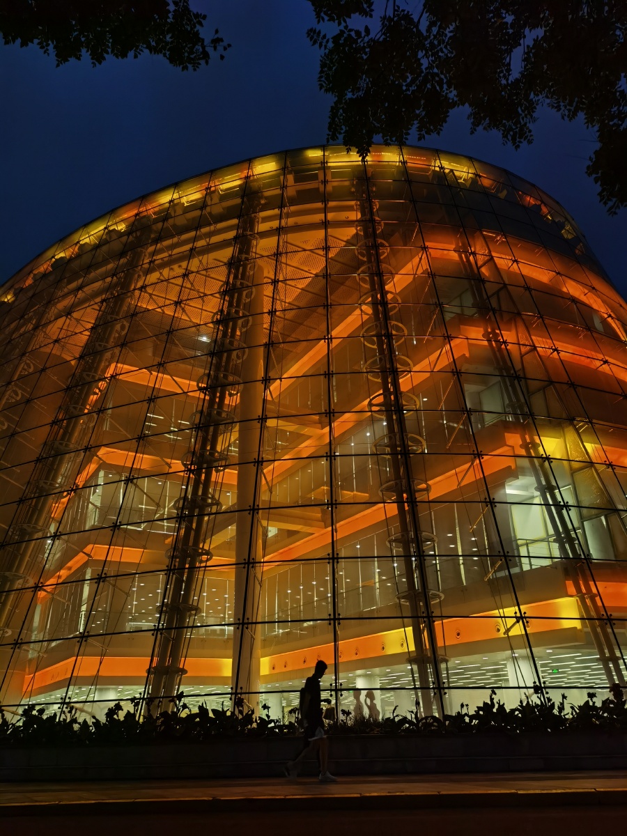 傍晚的泰达图书馆