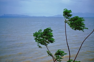 A9C4E801-841B-4069-B534-511F365ED359/L0/001