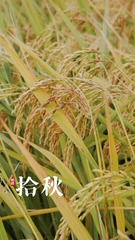 2FD4280B-3183-48EC-835C-EE649084E01C/L0/001