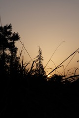 1FCD0A62-7C44-4C09-8507-ED9C208B9697/L0/001