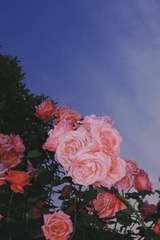 01589B5B-3EB7-4667-AC76-A3DE497F46E0/L0/001