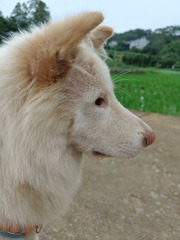1000008775