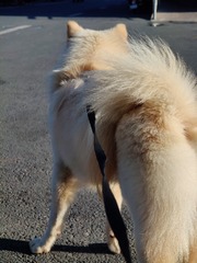 1000013882