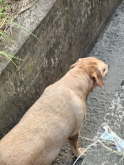 1000016361