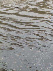 1000010195