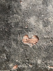 1000072397