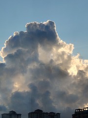 1000006614