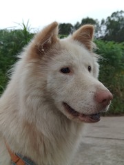 1000008800