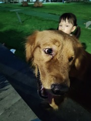 1000010540