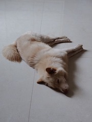 1000009712