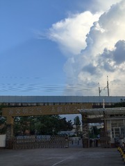1000000617