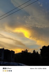 1000003134