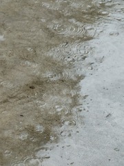 1000003329
