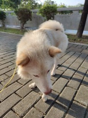 1000013753