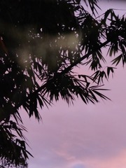 1000003182