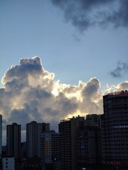 1000006613