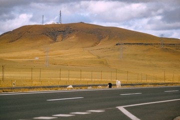 9F414102-6D60-40CF-BB50-E0FC7AF6A927/L0/001