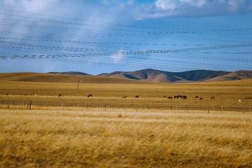2059F71E-390E-4C4D-97AB-624F3CEC2AE6/L0/001