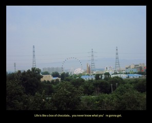 1000015649