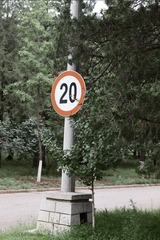 1000015907