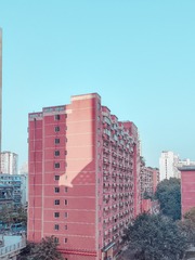 1000029117