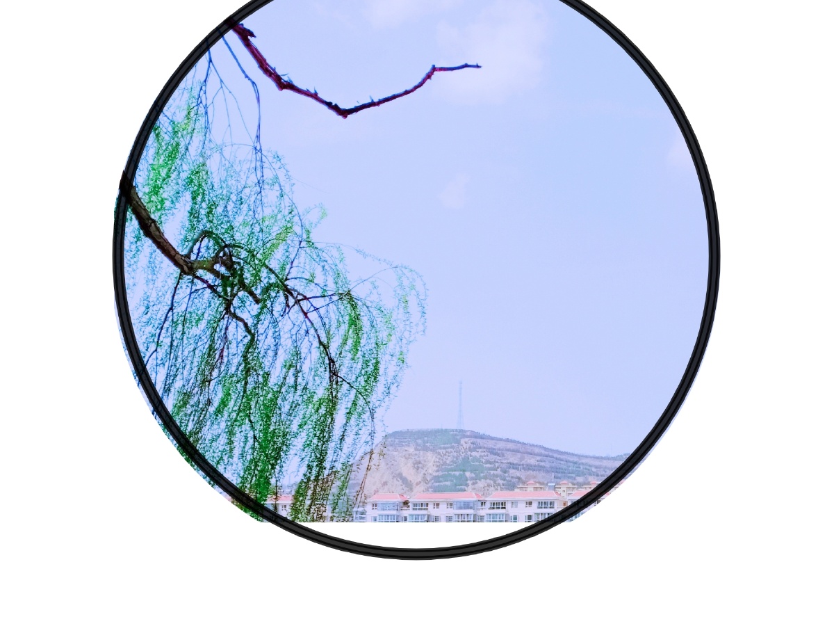 桃叶那尖上尖柳叶就遮满了天谷雨节气