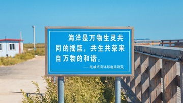 Optional(