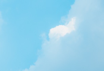 2988659