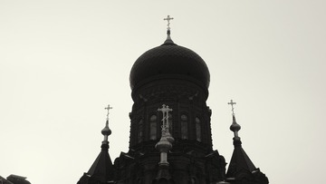 2016-11-17 07.11.57 1