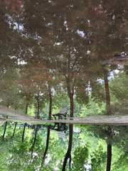 雨后倒影