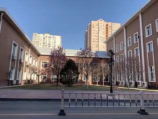 贸大春色