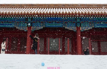 丰雪