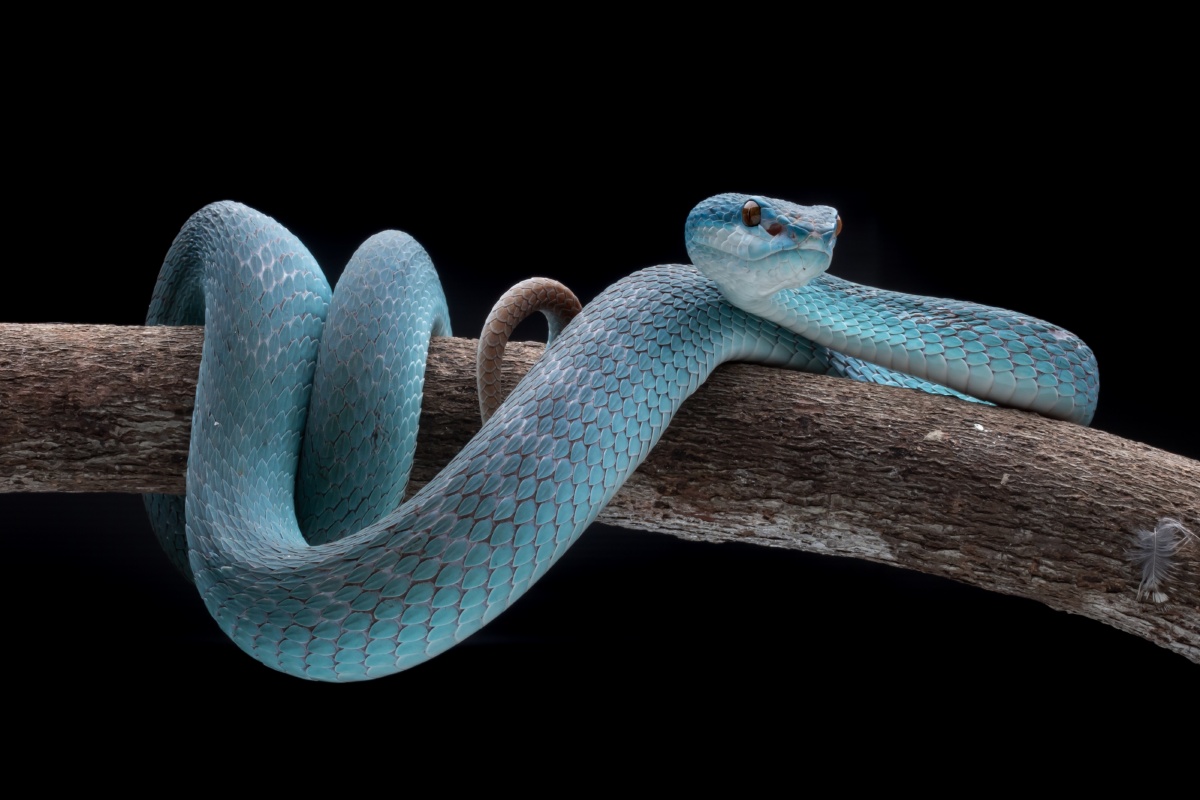 小柒sunny - 图虫网 - 优质摄影师交流社区