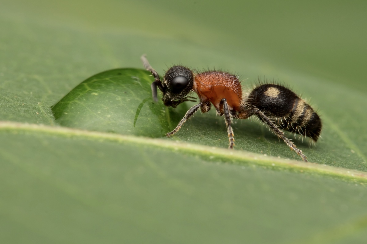 小柒sunny - 图虫网 - 优质摄影师交流社区